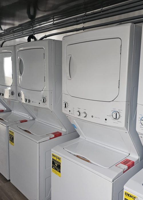 WhatsApp Image 2025-02-04 at 10.03.45_b13f874a